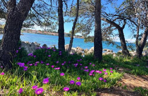 Mala kuća od soli - Foto 11