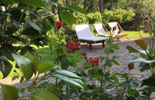 Villa Caprera - Photo 58