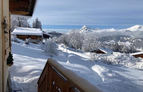 Chalets Savoie Les chalets d'Heidi - Photo 12