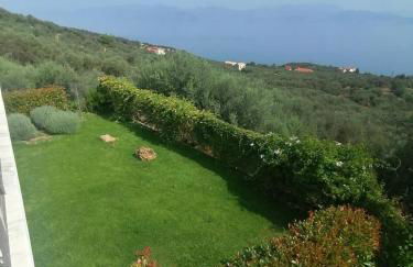 White Hill Platanos - Photo 18