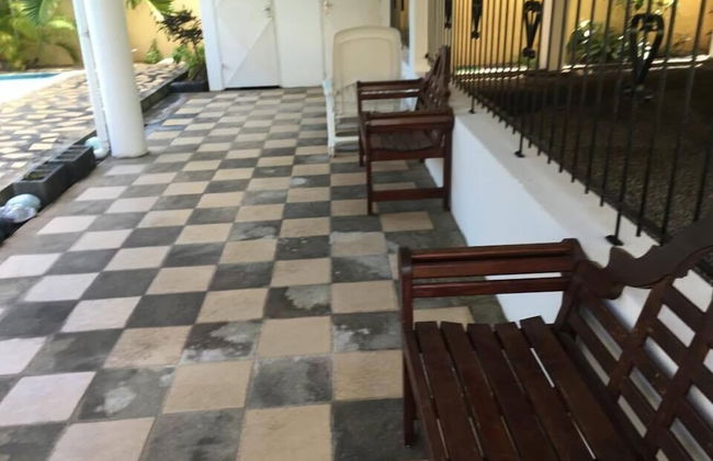 Faisan Dore - Photo 14