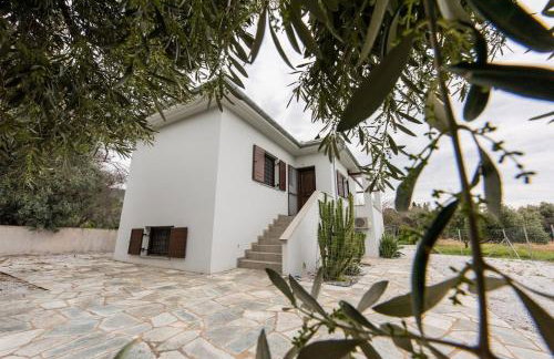 The Olive Home - Photo 1