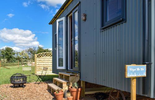 Forget-Me-Not - Uk37646 - Foto 10