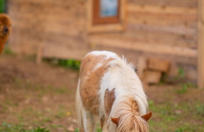 Alya Kartepe Villa Hotel - Foto 53