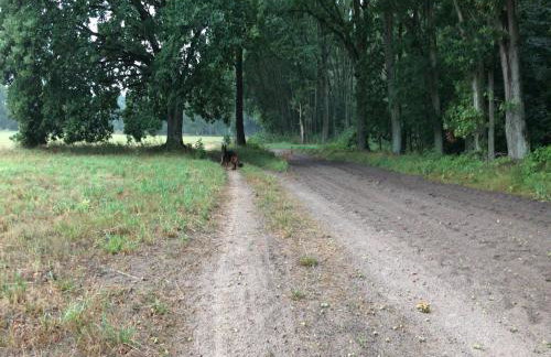 Charming Countryside Apartments - Photo 33