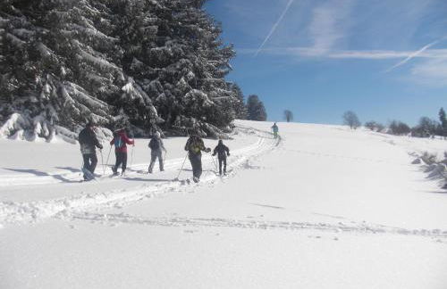 Chalet luxe 12 personnes SPA SAUNA VOSGES-GERARDMER - Foto 44