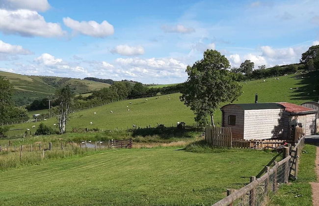 Foxglove Holiday Private Eco Accommodation - Foto 25