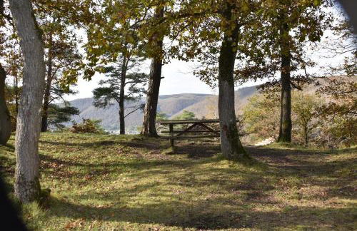Le Gîte au bord de la Forêt - Foto 44