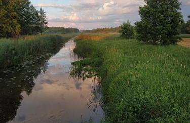 Kraska Dom Wakacyjny w Sercu Puszczy Białowieskiej - Foto 40