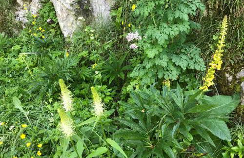 Casadelsale - Foto 17