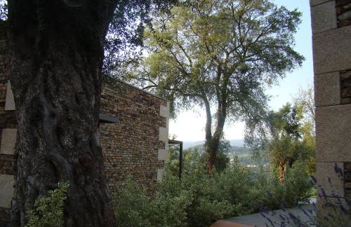 Bosque da Harmonia - Foto 69