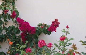 Impressive Platanias Villa Villa Bulma 2 Bedrooms Private Pool - Foto 5