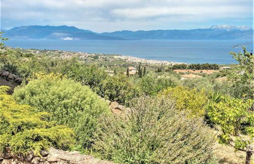 Ampelos Estate - Foto 92