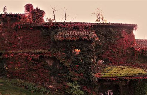 La Traversina - Agriturismo di Charme - Foto 55