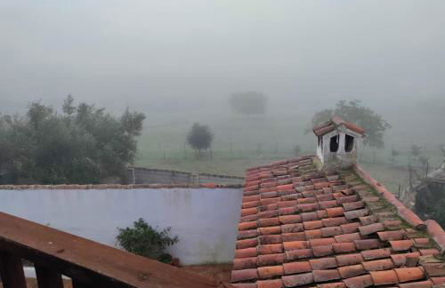 La Siesta VTAR - Foto 29