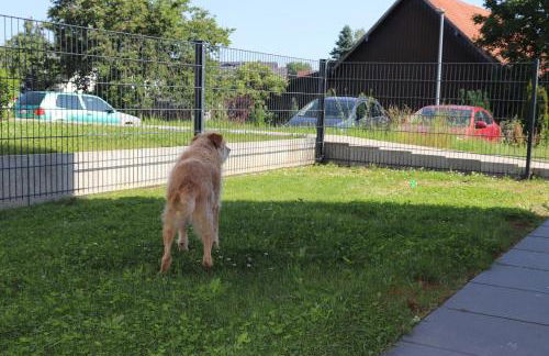 Barrierefreie Ferienwohnungen in der Nähe der Golf- und Freizeitanlage - Foto 56