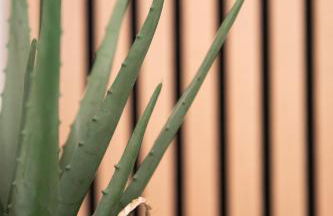 Bel appartement neuf en plein centre - Foto 17