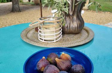 La Tour de Roubeirolle - Foto 43