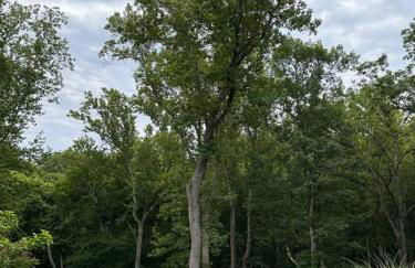 River Rock Villa - Privacy, Pool, River, Luxury - Foto 76