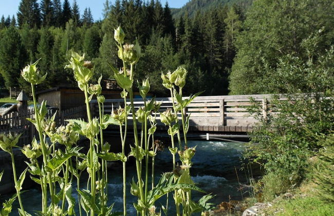 Cozy Holiday Home in Mauterndorf near Ski Area - Foto 20
