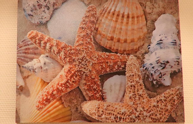 Lovely Apartment in Wendelstorf near Seabech - Photo 20