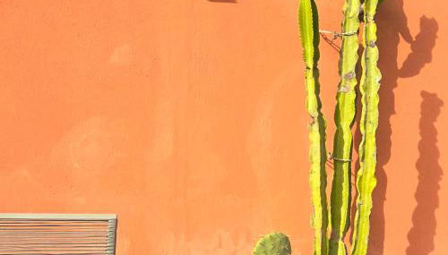 Patio House - Photo 5