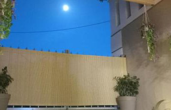 Rania's house - Photo 22