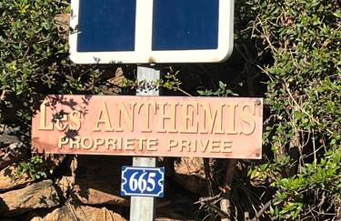 La fossette - Foto 18