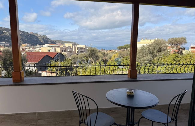 Lemon Factor Sorrento - Photo 21