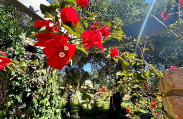 Anna's cottage house - Foto 10