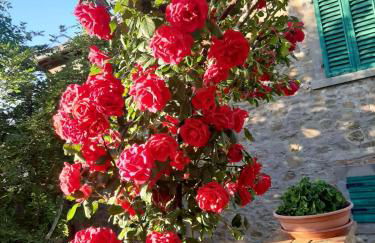 Sunset Valley - A Tuscan Experience - Foto 28