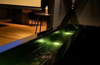 Love Room-Balnéo-Parking privé - Foto 15