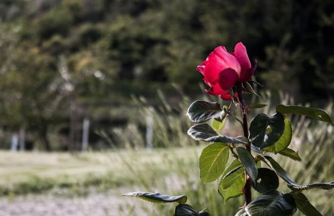 Mulino Della Rivolta - Foto 38