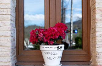 Casa Rural El Floreu de Remis - Foto 66