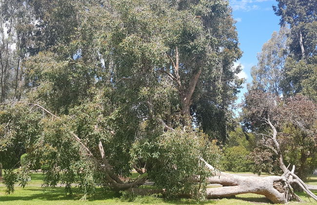 Grampians View Cottages and Units - Photo 48