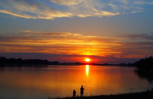 a 10 mn d Angers petite maison indépendante - Photo 16