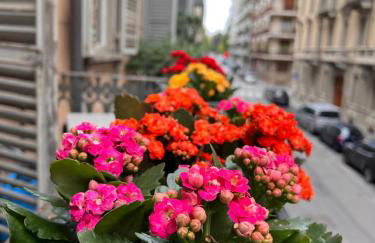 President House - Foto 32