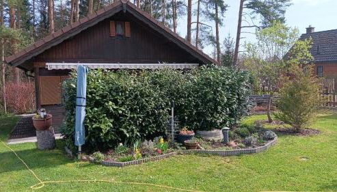 Ferienhaus Obert - Drognitz - Foto 3