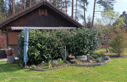 Ferienhaus Obert - Drognitz - Foto 3