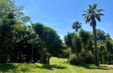 Rundinelle di Saint-Florent - Foto 12