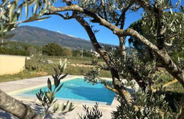 Le Mas des Grillons, mas rénové entièrement climatisé avec piscine et vue Ventoux - Foto 1