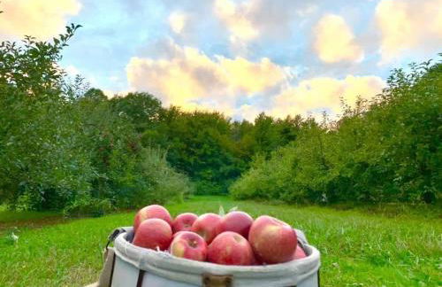 The Sansa Suite at Brants Apple Orchard - Foto 25
