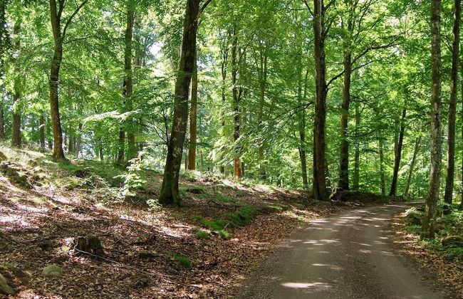 5 Person Holiday Home in Linderod-by Traum - Foto 16