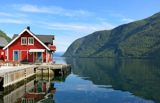 Fagerdalsnipi - Foto 4