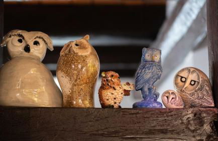 Les Gîtes Coeur de Vigne - Foto 38