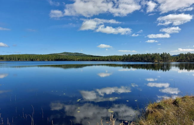 Forest Family Home - Foto 47