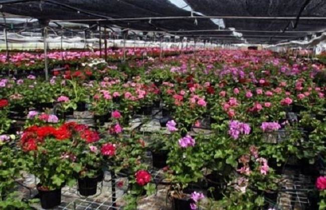 Agroturismo Ibarrondo Etxea - Foto 45