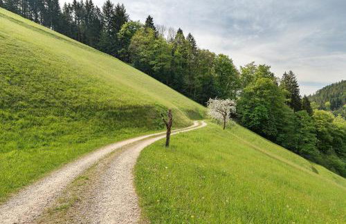 Holderstanzenhof - Foto 20