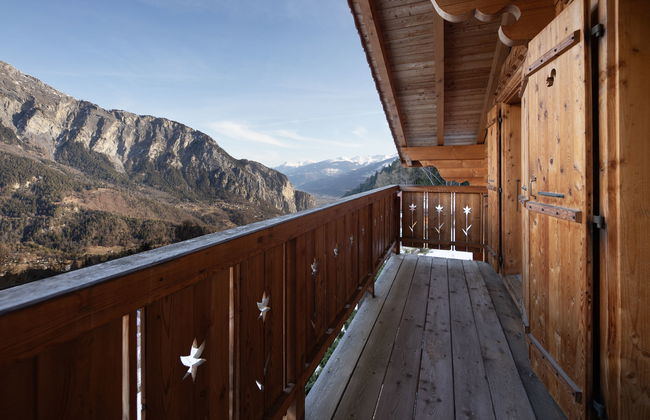 Ecureuil noir - Foto 25