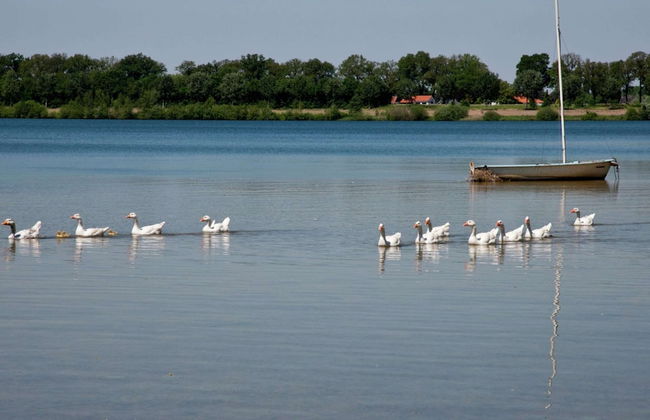 Tail-wagging Lake Escape - Photo 35